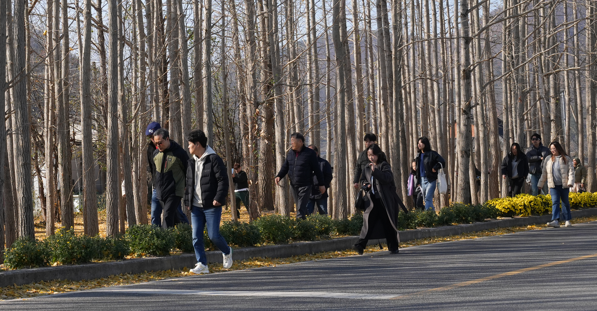 Read more about the article 놀숲패스 1차 시범투어 ‘경주’편