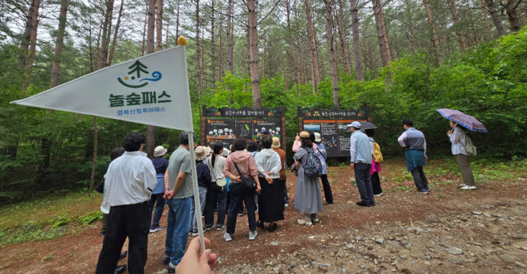 Read more about the article 2026년 놀숲패스 1차 시범투어 ‘울진’편